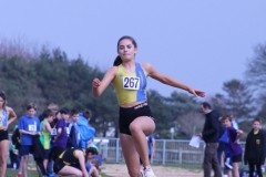 IMG_1231_R