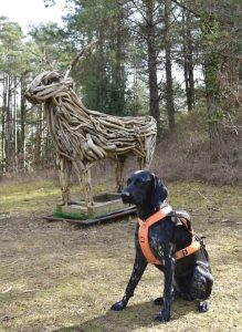Chester posing with an animal statue on the first day of the Fur Nations series in Pembrey