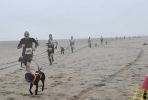 Graeme and Chester racing along the beach at Pembrey