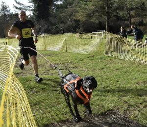 Graeme and Chester racing well on the first day of their Fur Nations race at Pembrey