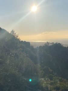 Some scenery from the Sierra Blanca Trail