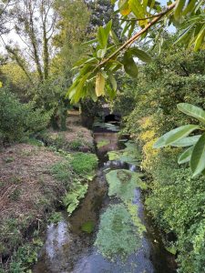 A river in Maiden Newton